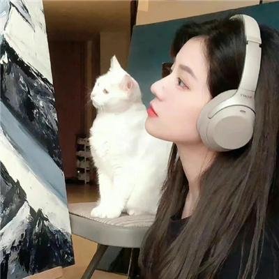 毒品网路
